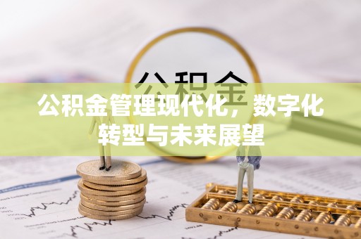 临沂公积金管理现代化，数字化转型与未来展望