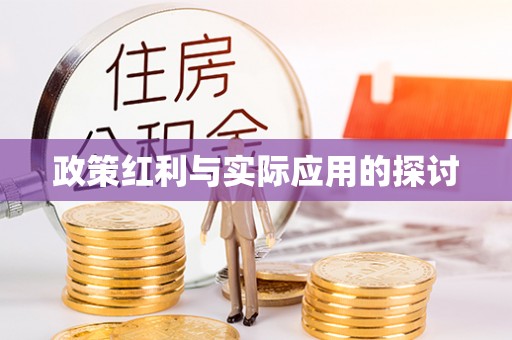 临沂政策红利与实际应用的探讨