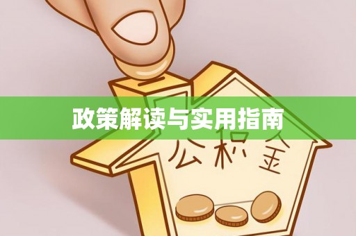 临沂政策解读与实用指南