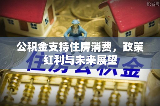 临沂公积金支持住房消费，政策红利与未来展望